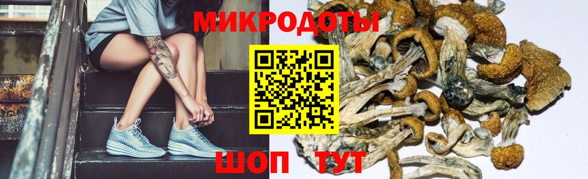 Галлюциногенные грибы Psilocybe  хочу   Заволжье  Вход с VPN 