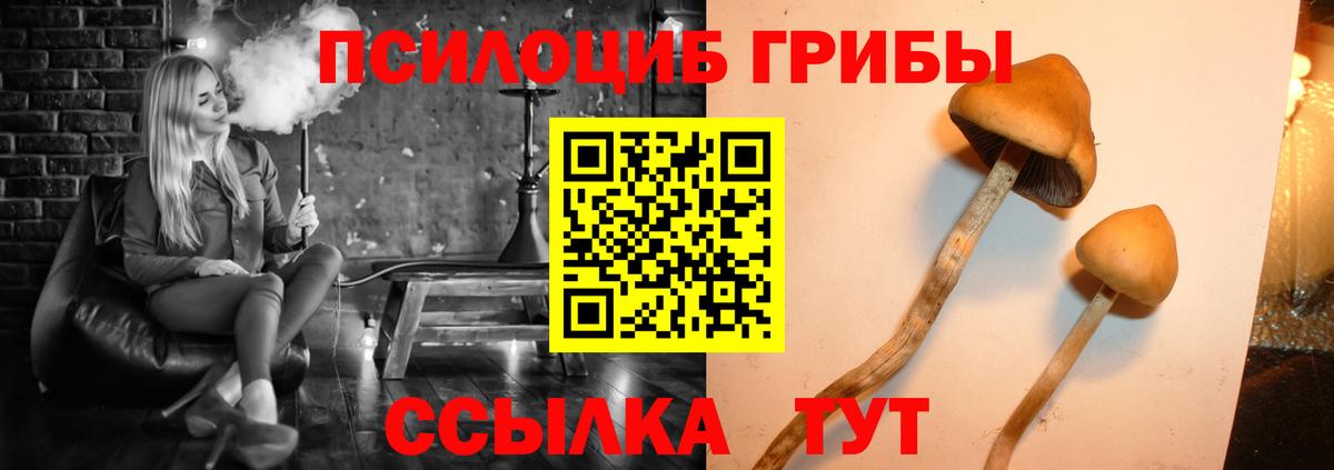 Псилоцибиновые грибы мухоморы Заволжье